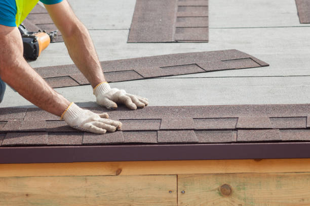 Best Roof Moss and Algae Removal  in North Syracuse, NY
